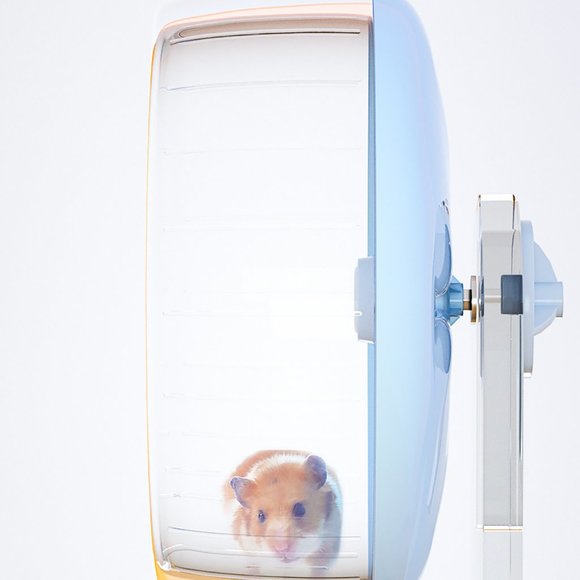 Acrylic Cute Running Silent Wheel Tiny Lovable Pets - Picture 7 of 15